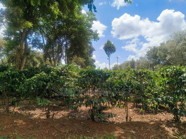 546 Acres Coffee Farm on Sale at Ruiru Kiambu County at 20M