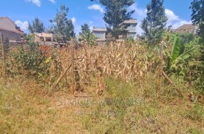 1/8 Acre 50by100 Residential Plot on Sale at Kiamumbi Kiambu