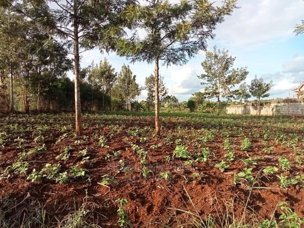 1/4 Acre Residential Land on Sale at Ruiru Mugutha Murera
