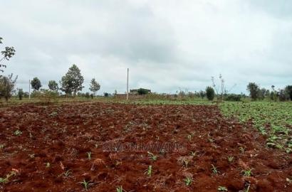 40 by 80 Residential Plot in Anmer Estate/Kiambu