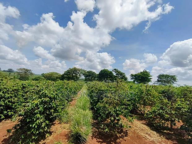 546acres Coffee Farm on Sale at Ruiru Kiambu at 20M Per Acre