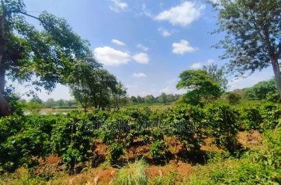 403 Acres Coffee Farm at Kiambu on Sale at 25M Per Acre
