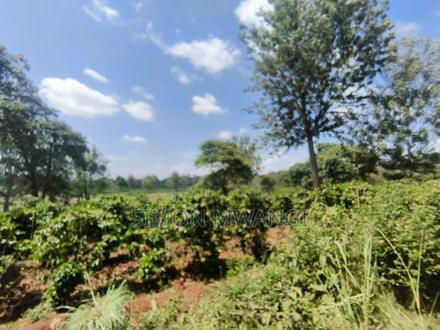 403 Acres Coffee Farm at Kiambu on Sale at 25M Per Acre