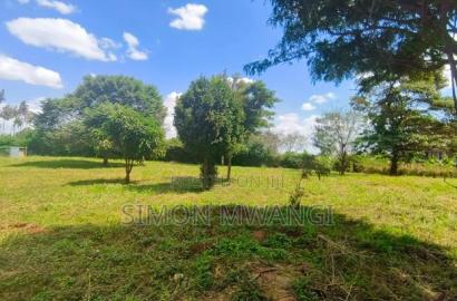 1/4, Acre on Sale at Goldpalm Off Kiambu Road (Njathaini)