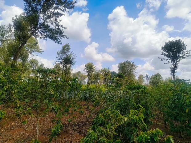 302 Acres Coffee Farm on Sale at Kiambu County Ruiru
