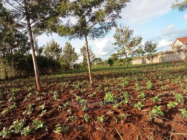 1/4 Acre Residential Land on Sale at Ruiru Mugutha Murera