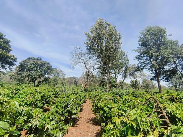 400 Acres of Coffee Farm for Sale - Kiambu, Near Tatu City