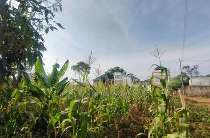 50*100 Residential Plot at Ruiru Mugutha at 4.2M