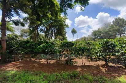 546 Acres Coffee Farm on Sale at Ruiru Kiambu County at 20M