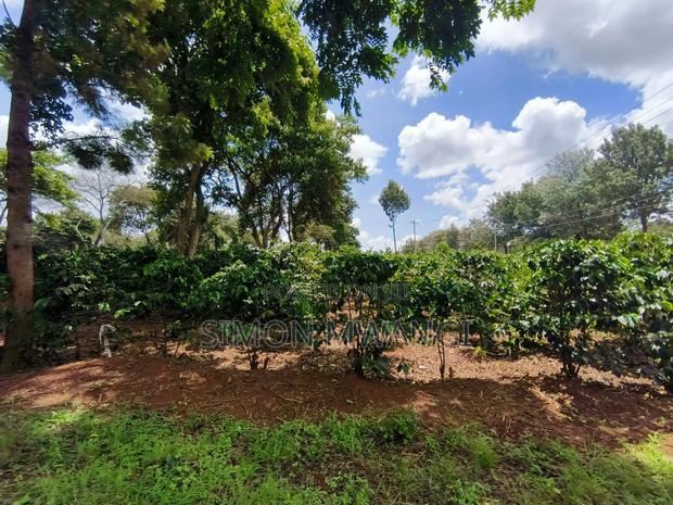 546 Acres Coffee Farm on Sale at Ruiru Kiambu County at 20M