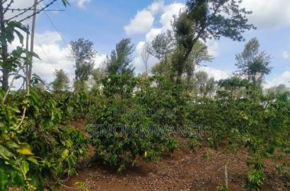 302 Acres Coffee Farm on Sale at Kiambu County Ruiru