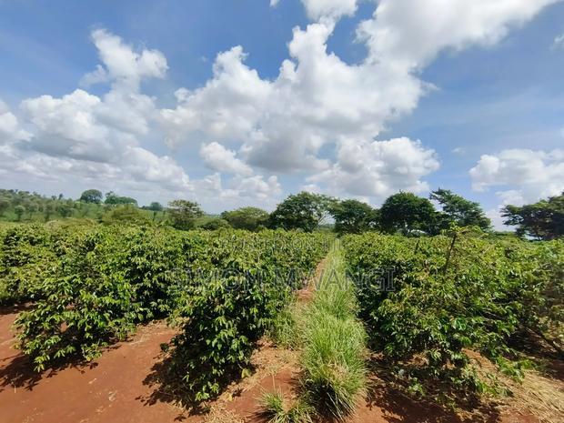 546acres Coffee Farm on Sale at Ruiru Kiambu at 20M Per Acre