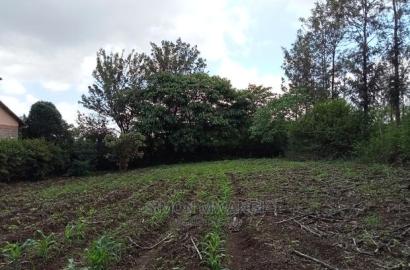 1/4 Acre Residential Plot on Sale at Ruiru Membley Estate