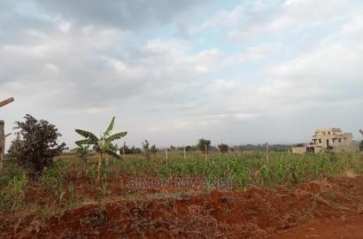 40*80 Prime Plot at Kiora Estate Kiambu on