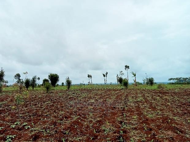 40 by 80 Residential Plot on Sale at Anmer/Kiambu