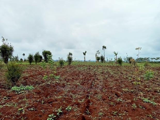 40 by 80 Residential Plot on Sale at Anmer/Kiambu
