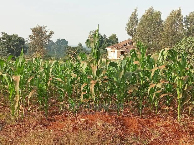 40*80 Residential Plot on Sale at Kiambu Anmer Estate at 1.6m