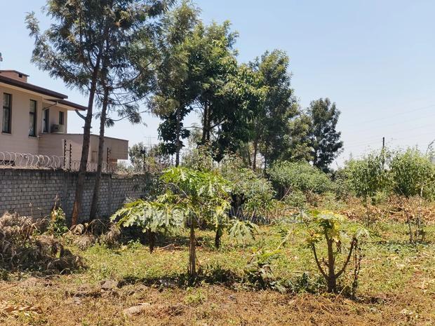 1/2,Acre on Sale at Kiambu Kiukenda Estate Off Kamiti Rd at 19M