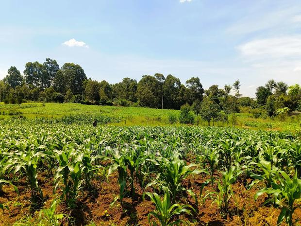 40*80 Residential Plot on Sale at Kiambu Anmer