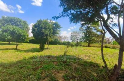 100*100(1/4) Acre on Sale Off Kiambu Rd, Goldpalm Estate at 14M