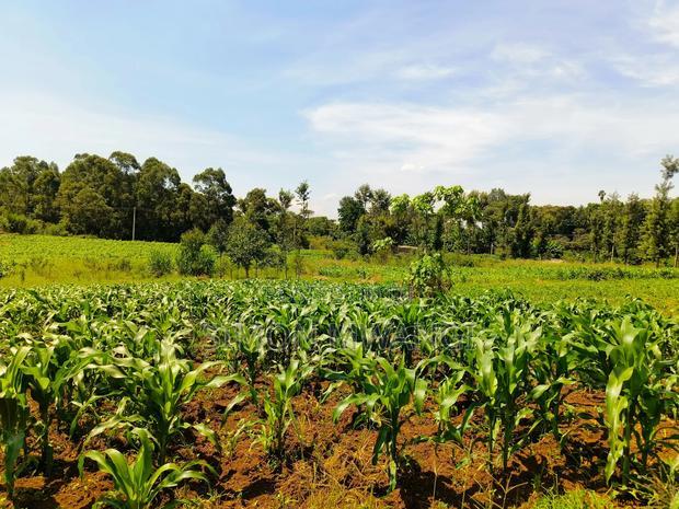 40*80 Residential Plot on Sale at Kiambu Anmer