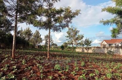 1/4 Acre Residential Land on Sale at Ruiru Mugutha Murera