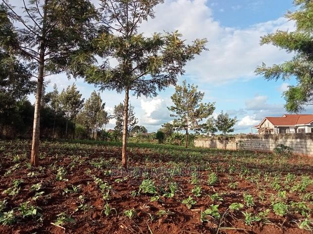 1/4 Acre Residential Land on Sale at Ruiru Mugutha Murera