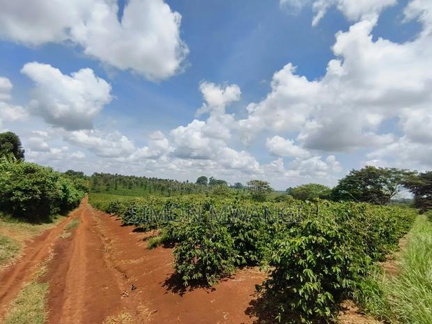 546acres Coffee Farm on Sale at Ruiru Kiambu at 20M Per Acre