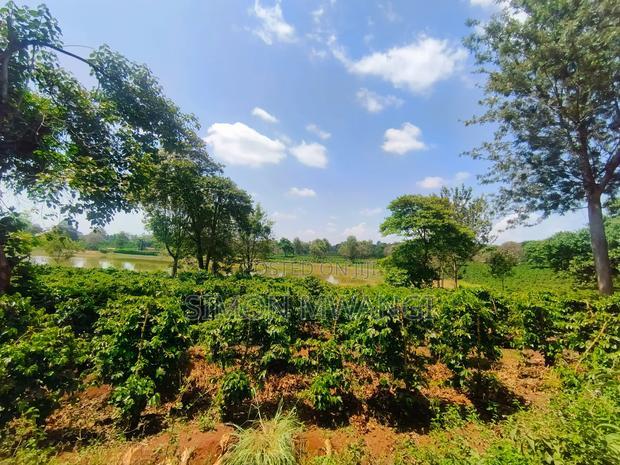 406 Acres Coffee Farm on Sale at Kiambu County