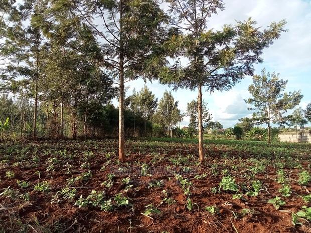 1/4 Acre Residential Land on Sale at Ruiru Mugutha Murera