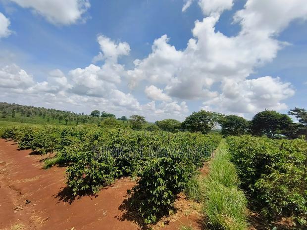 546acres Coffee Farm on Sale at Ruiru Kiambu at 20M Per Acre