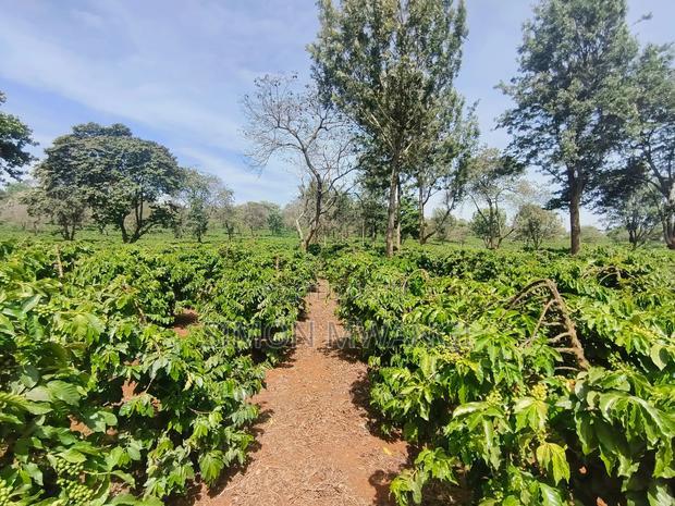 400 Acres of Coffee Farm for Sale - Kiambu, Near Tatu City