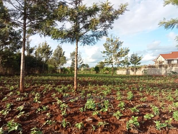 1/4 Acre Residential Land on Sale at Ruiru Mugutha Murera