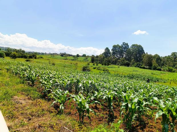 40*80 Residential Plot on Sale at Kiambu Anmer