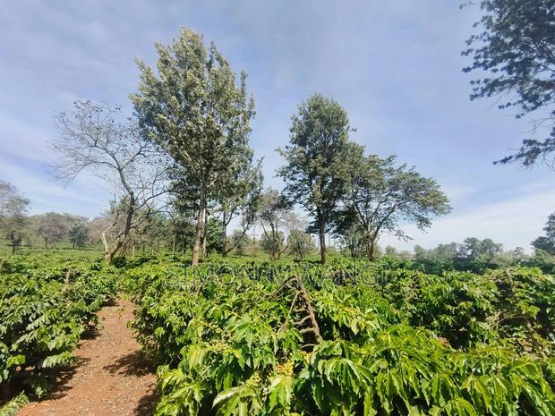 400 Acres of Coffee Farm for Sale - Kiambu, Near Tatu City