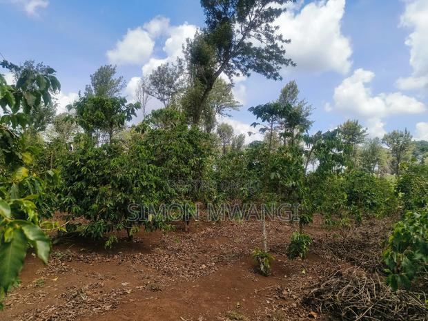 302 Acres Coffee Farm on Sale at Kiambu County Ruiru