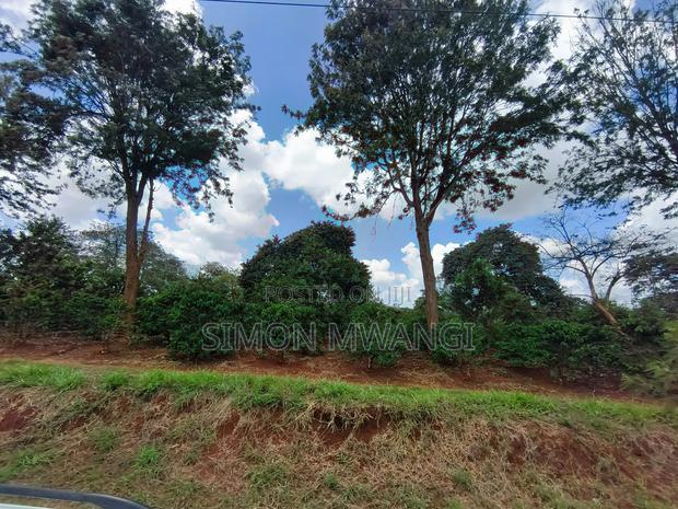 546 Acres Coffee Farm on Sale at Ruiru Kiambu County at 20M