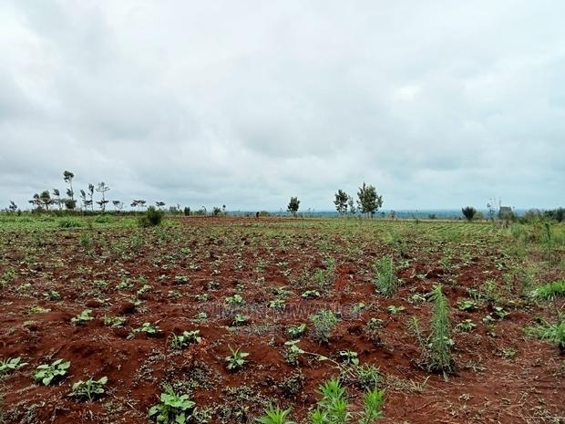 40 by 80 Residential Plot in Anmer Estate/Kiambu