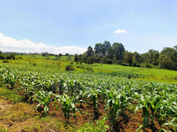 40*80 Residential Plot on Sale at Kiambu Anmer