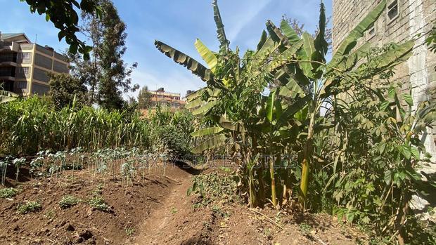 0.5 Acre Kiamumbi
