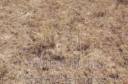 A Good 1 Acre Yard Industrial Area