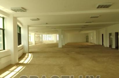 Tranquil 9000 SQFT Office
