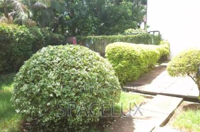 Prime 1 Acre for a Mall, Restaurant or School
