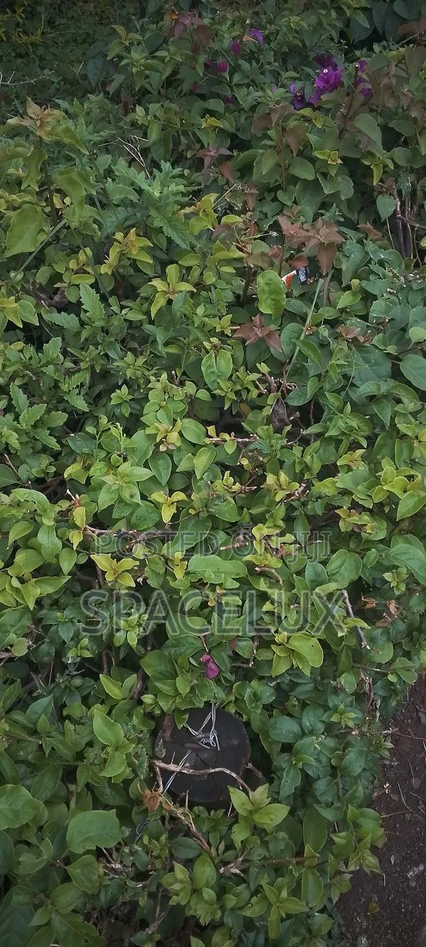 1 Acre Westlands Prime Land