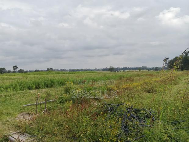 Prime 53 Acres Near Tatu City Sasini