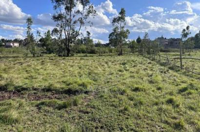 Lucrative Farmland 100 Acres Tigoni Limuru