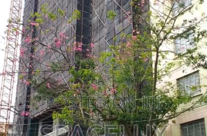 6bdrm Apartment in Kileleshwa for sale