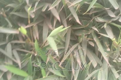 4.5 Acres Prime Land Touching Eastern by Pass Ruiru Kamakis