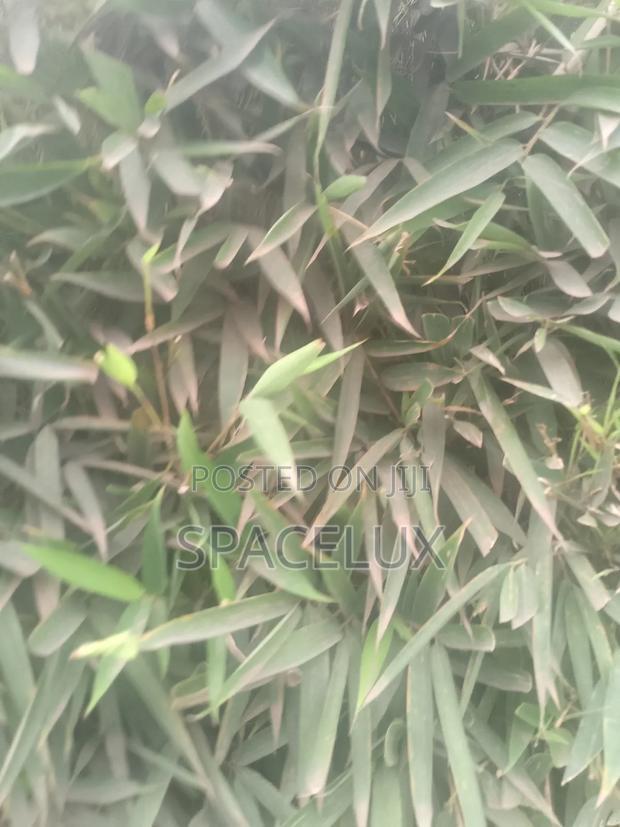 4.5 Acres Prime Land Touching Eastern by Pass Ruiru Kamakis