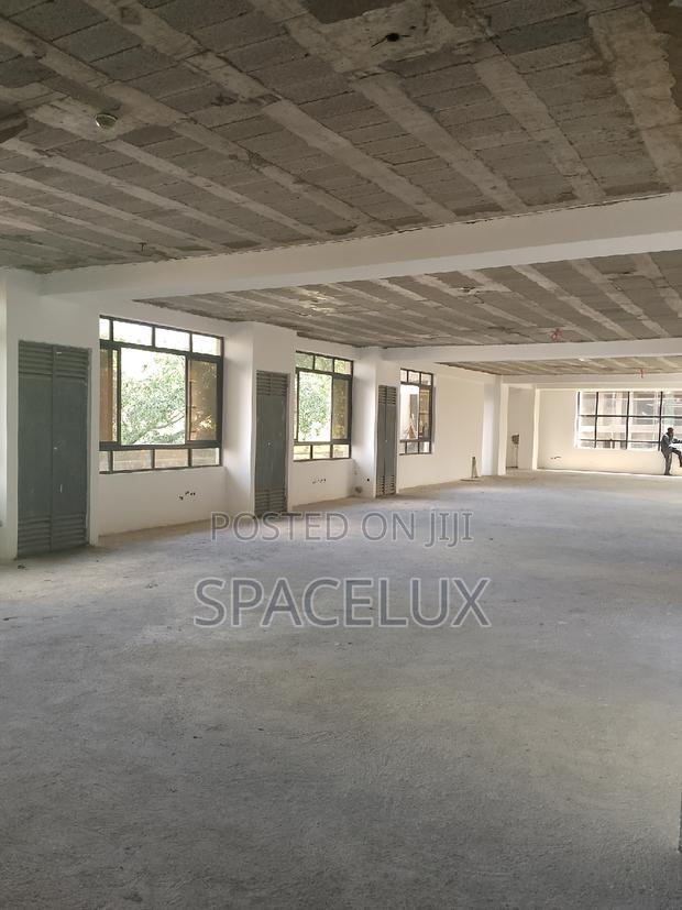 Plush Executive Professional Office Kilimani